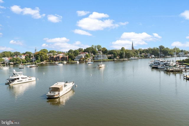 water view featuring a boat dock