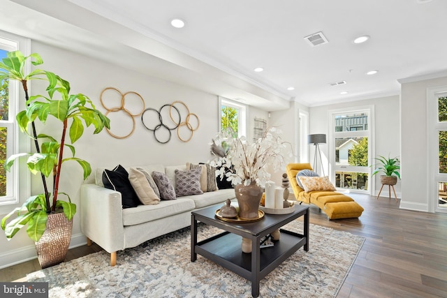 living room featuring dark hardwood / wood-style floors and ornamental molding