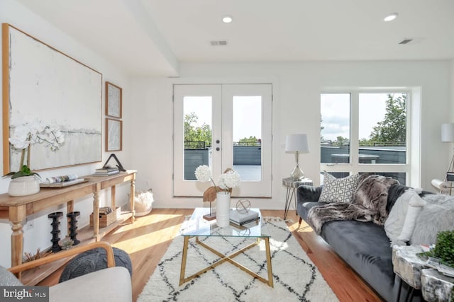 living room with french doors, light hardwood / wood-style floors, and a wealth of natural light