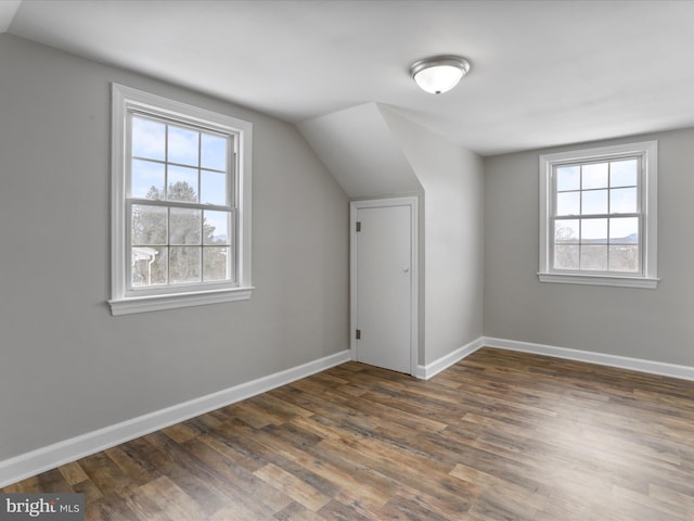 bonus room featuring dark wood-type flooring