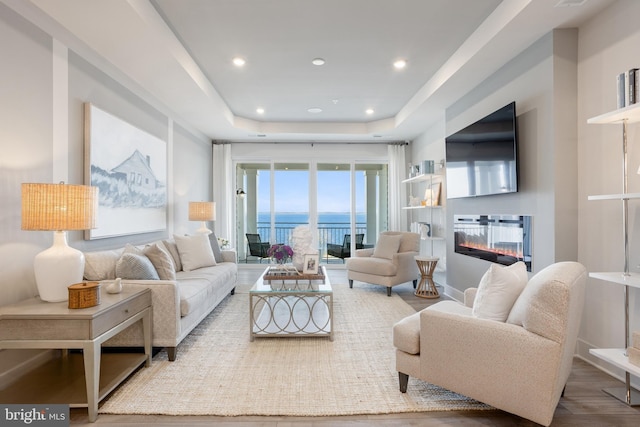 living room with a raised ceiling and wood-type flooring