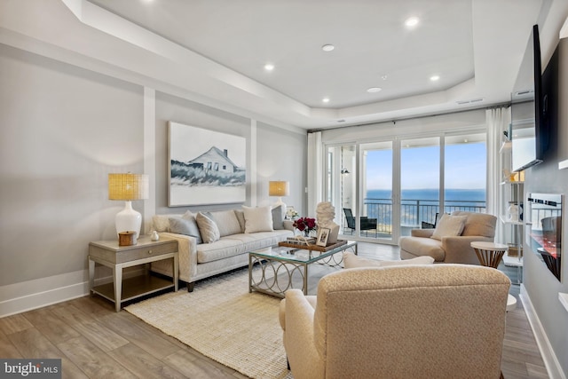 living room featuring wood-type flooring and a tray ceiling