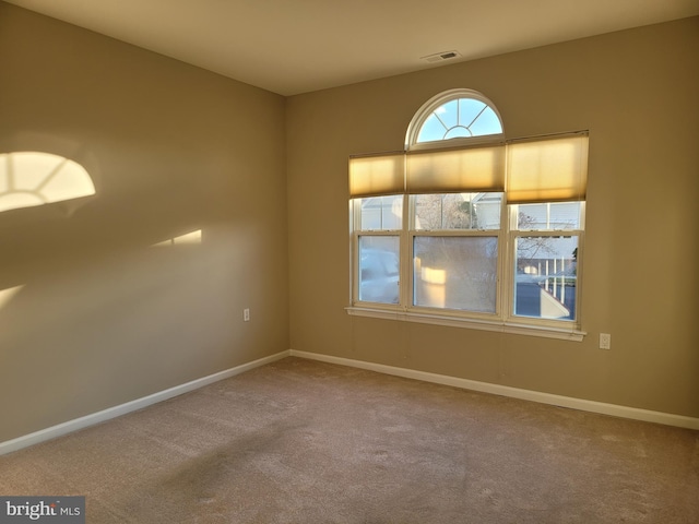 spare room featuring carpet flooring