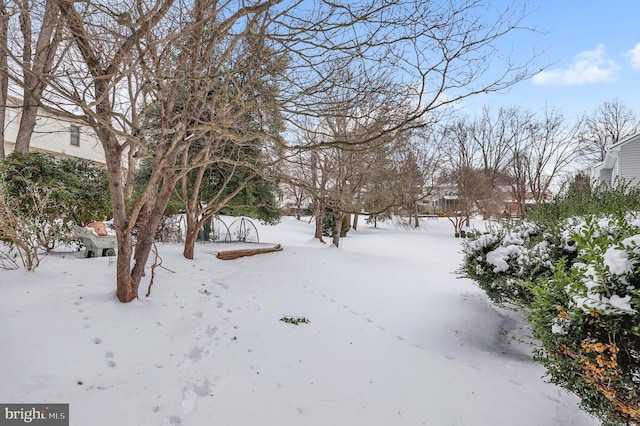 view of yard layered in snow