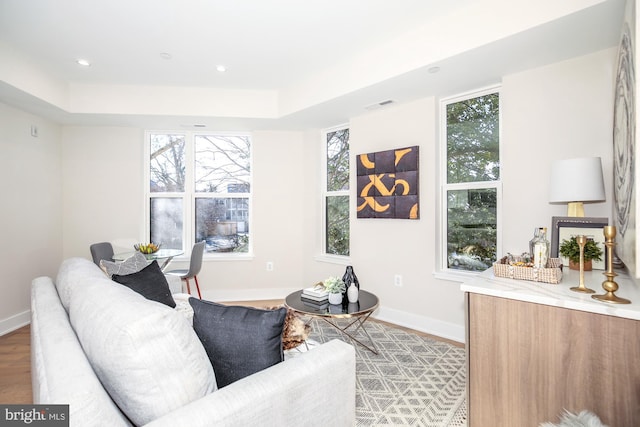 living room featuring a tray ceiling, a wealth of natural light, and light hardwood / wood-style flooring