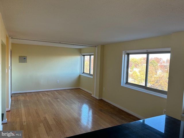 empty room with electric panel, a healthy amount of sunlight, and light wood-type flooring