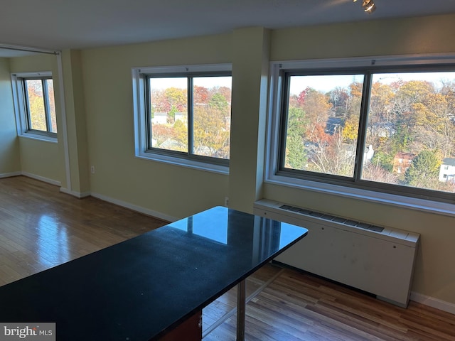 unfurnished dining area with radiator heating unit, a healthy amount of sunlight, and wood-type flooring