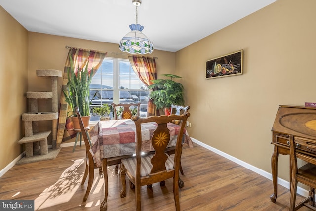 dining area with hardwood / wood-style flooring