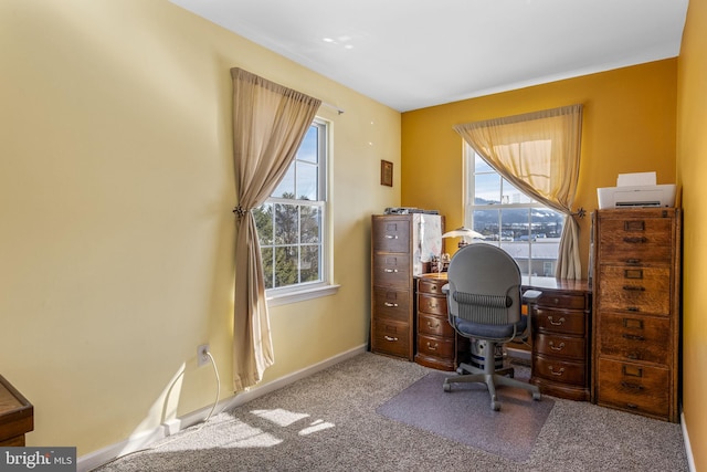 carpeted office space featuring a wealth of natural light