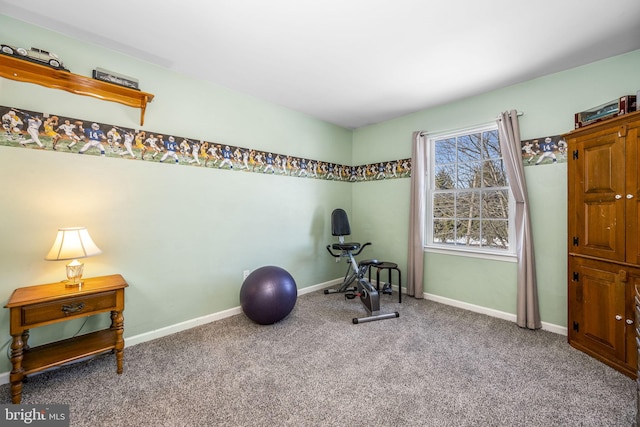 exercise area featuring carpet