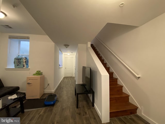 staircase with hardwood / wood-style flooring