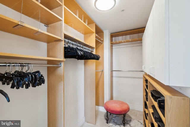 view of spacious closet