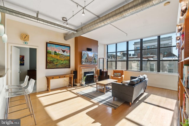 living room with light wood-type flooring