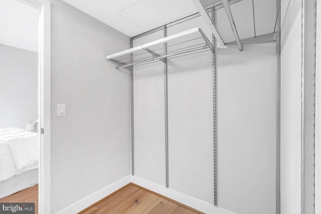 spacious closet with wood-type flooring