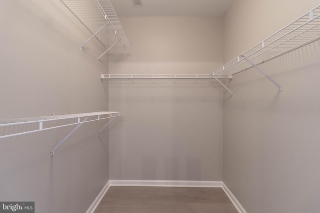 spacious closet with hardwood / wood-style flooring