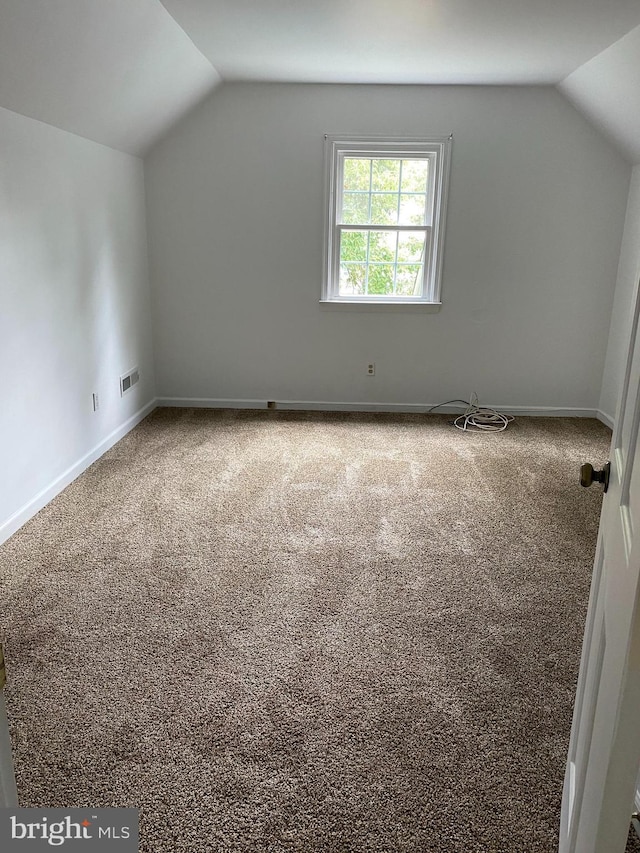 additional living space featuring lofted ceiling and carpet floors