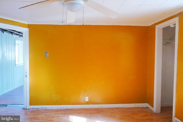 unfurnished room featuring ceiling fan and light hardwood / wood-style flooring