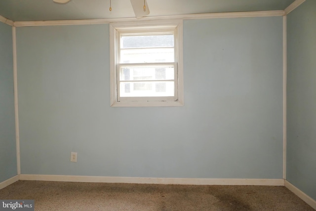 carpeted spare room with crown molding