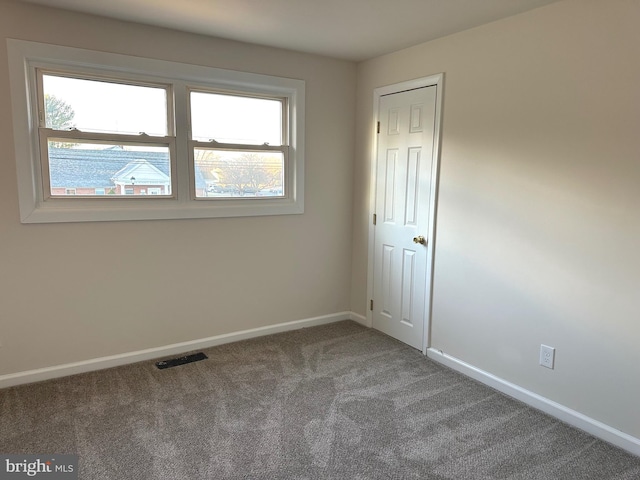 unfurnished room featuring carpet floors and a healthy amount of sunlight