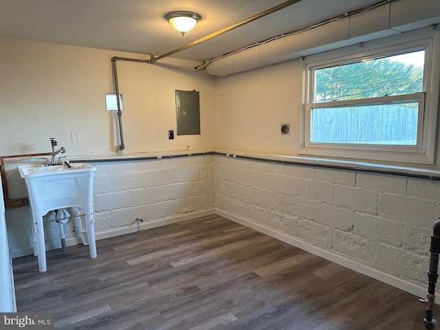 basement featuring electric panel and dark hardwood / wood-style floors