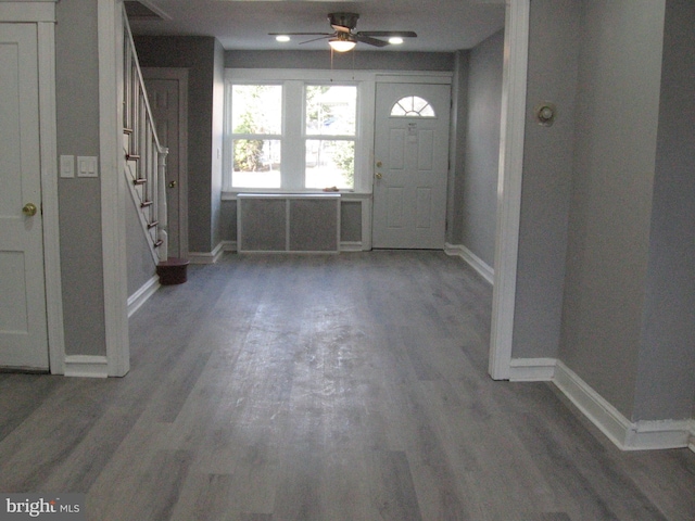 entryway with ceiling fan and dark wood-type flooring