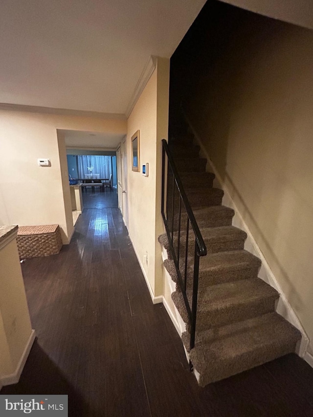 stairway featuring wood-type flooring and ornamental molding