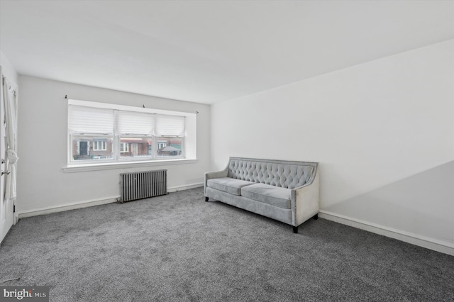 sitting room with radiator heating unit and carpet floors