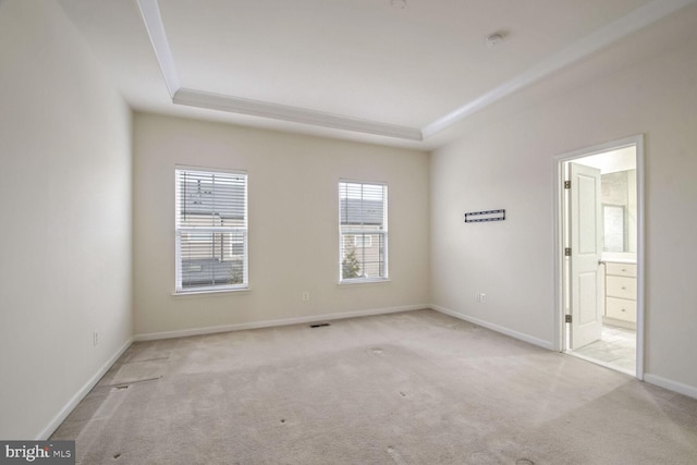 interior space featuring light colored carpet, a raised ceiling, and ensuite bath