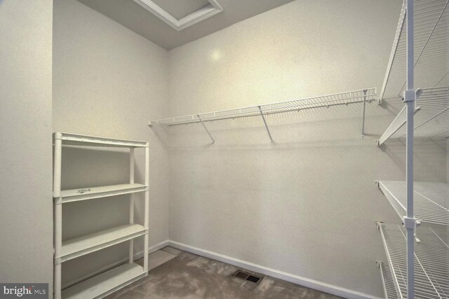 view of walk in closet