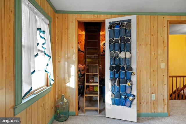 miscellaneous room featuring wood walls, carpet floors, and ornamental molding