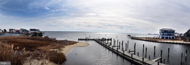 dock area with a water view