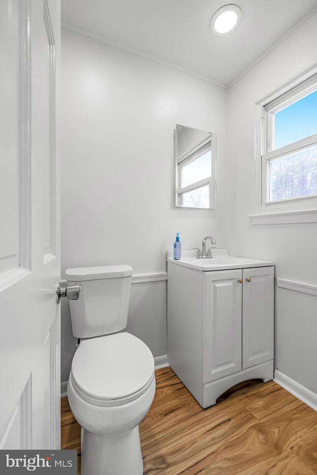 bathroom with wood-type flooring, vanity, and toilet