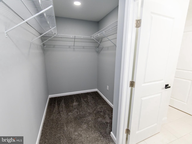 spacious closet with carpet flooring