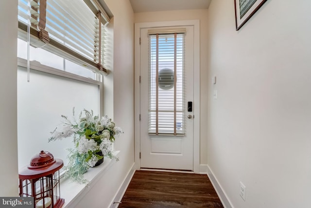 doorway to outside with dark wood-type flooring