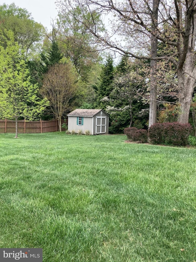 view of yard with a storage unit