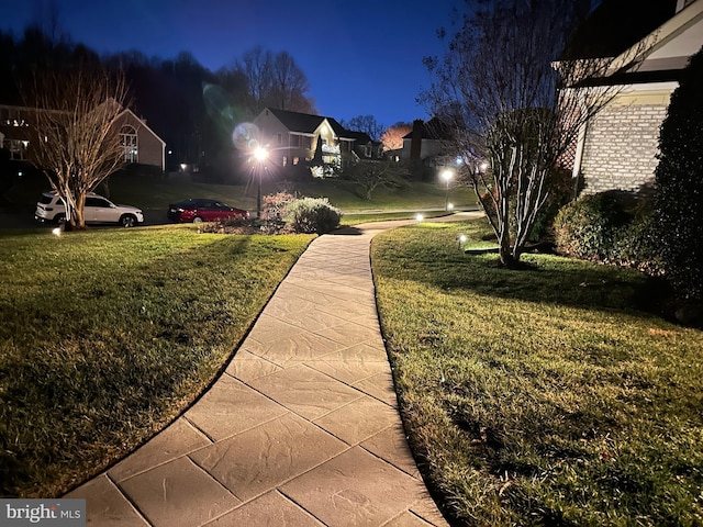 view of yard at night