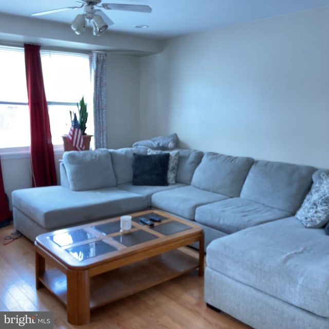 living room featuring ceiling fan and light wood-type flooring
