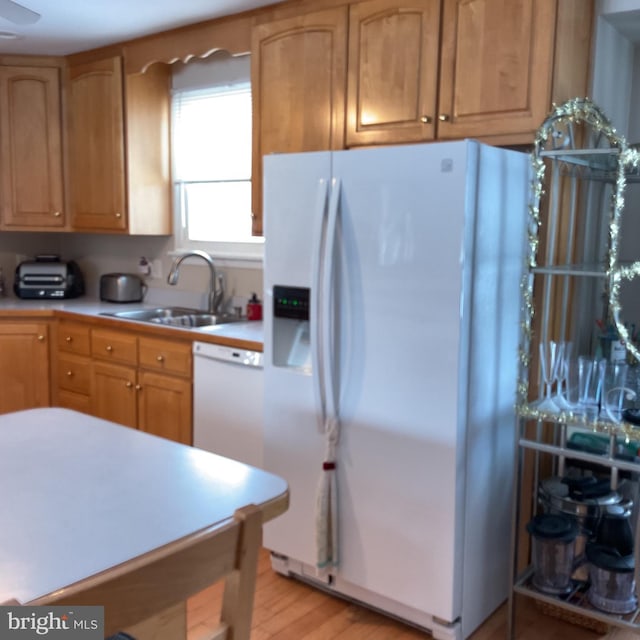 kitchen with sink, white appliances, and light hardwood / wood-style floors
