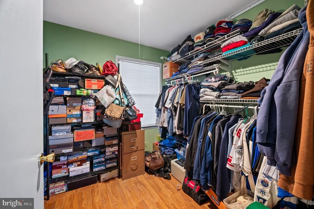 walk in closet with wood-type flooring