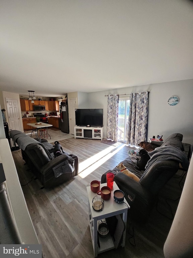 living room with hardwood / wood-style flooring