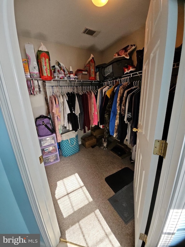 walk in closet with carpet