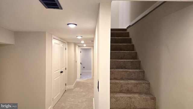 staircase featuring carpet floors