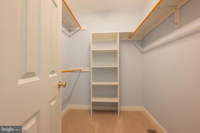 walk in closet with carpet