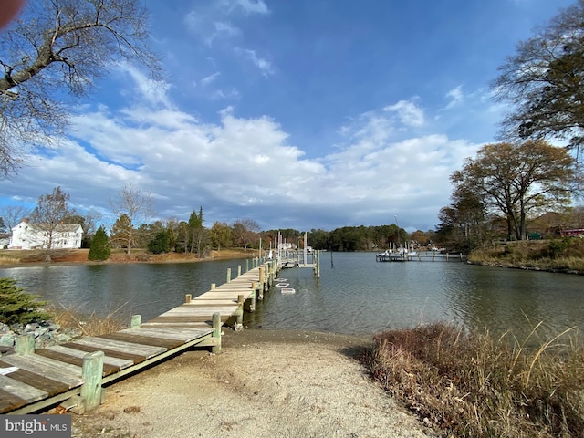 dock area with a water view