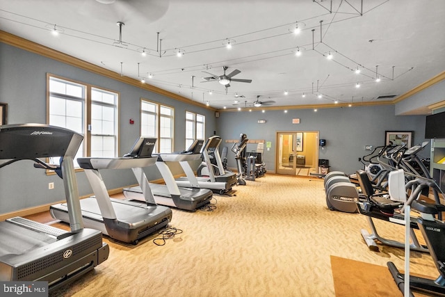 gym featuring light colored carpet, ceiling fan, and crown molding