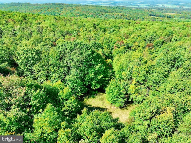 Windswept Ln, Grantsville MD, 21536 land for sale