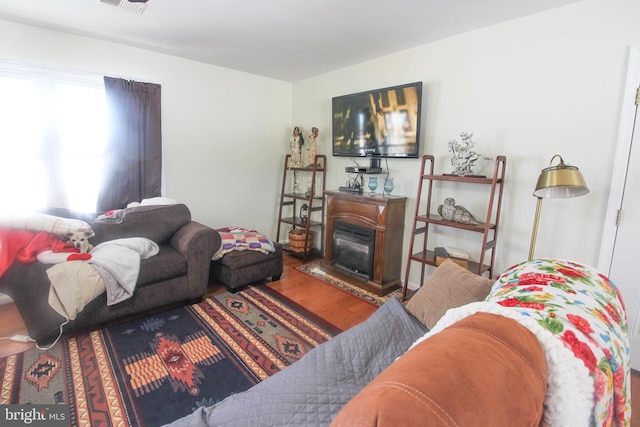 living room with a fireplace and wood-type flooring