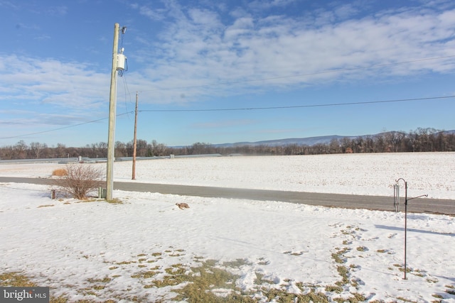 view of snowy yard