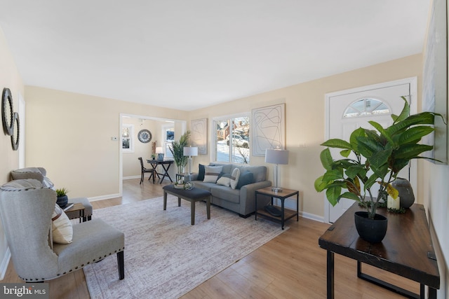 living room featuring light hardwood / wood-style flooring