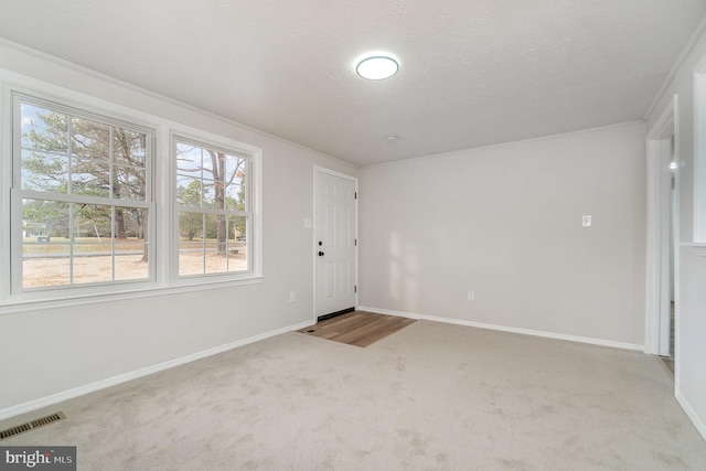 empty room featuring a textured ceiling, carpet floors, and ornamental molding